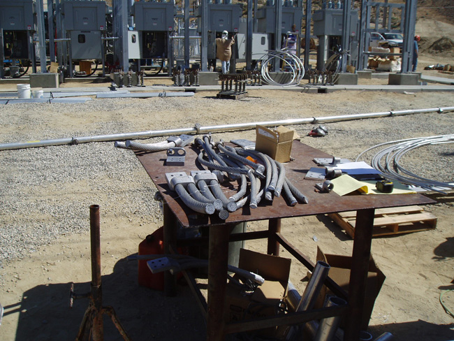 P6200119